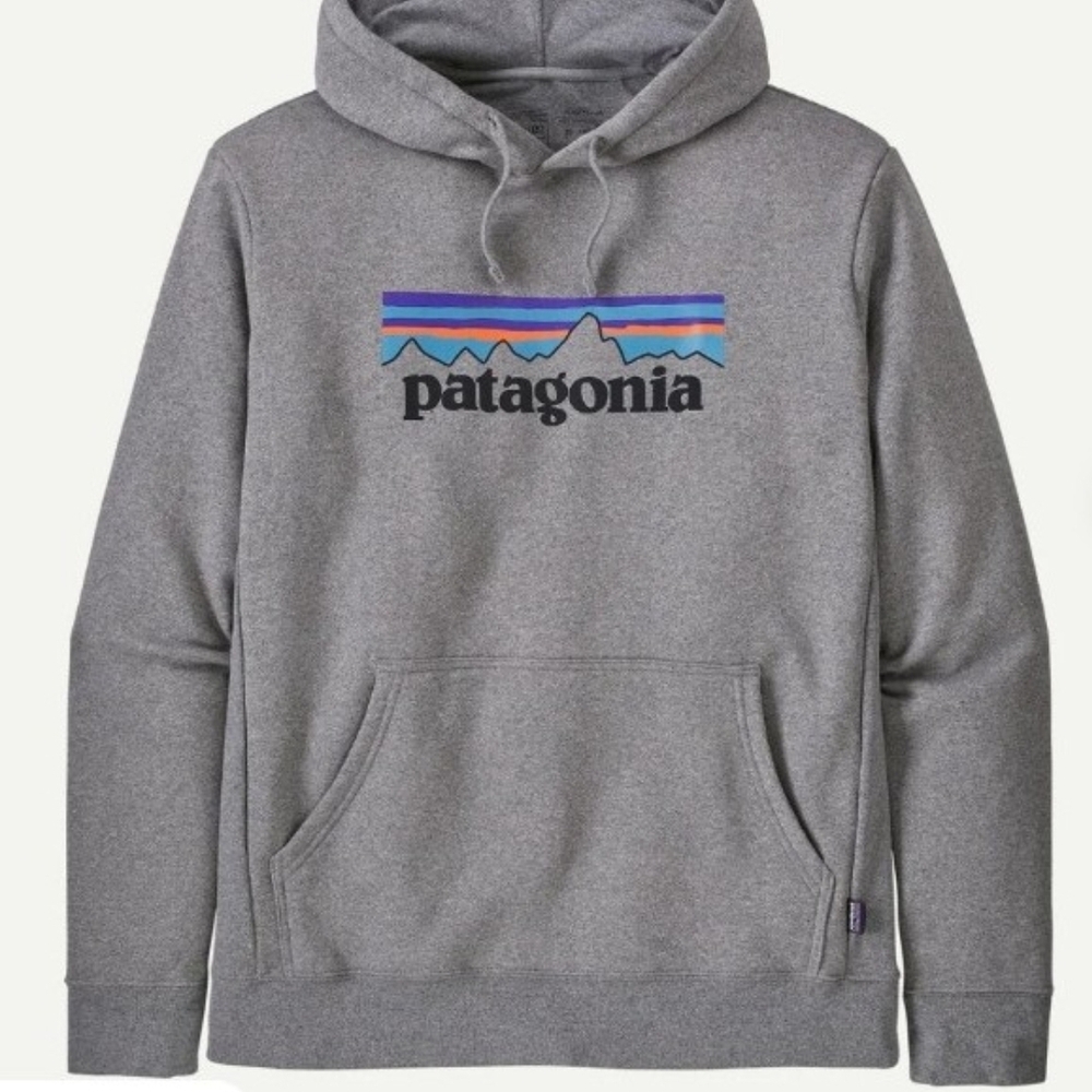 Patagonia Men's Grey Logo Hoodie